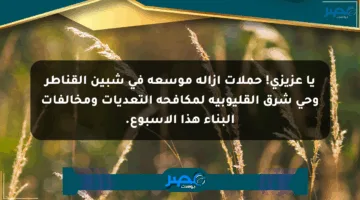 يا عزيزي! حملات إزالة موسعة في شبين القناطر وحي شرق القليوبية لمكافحة التعديات ومخالفات البناء هذا الأسبوع.